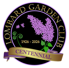 Lombard Garden Club